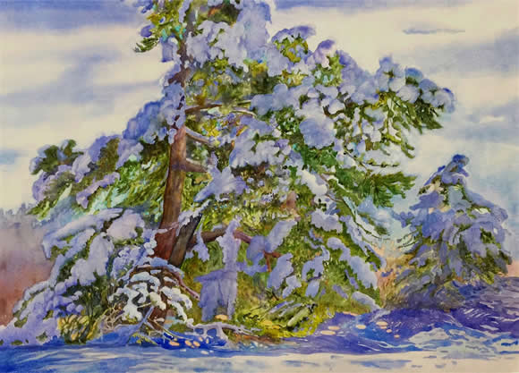 The Old Pine Tree by Evelyn Dunphy.jpg